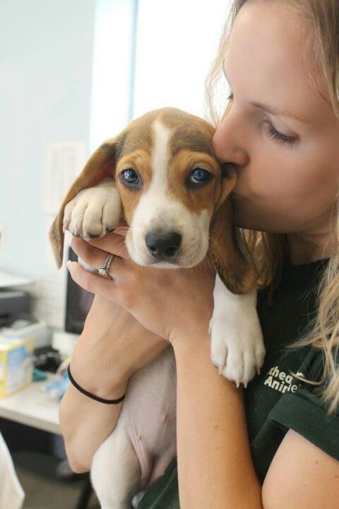 Marie et sa beagle Olive